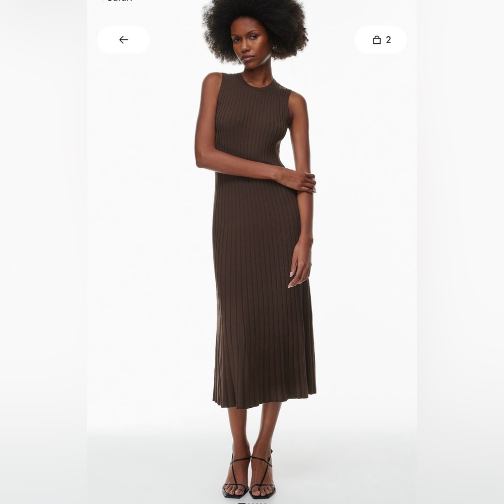 Aritzia Babaton Expression Dress